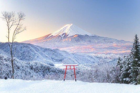 【富士山下：粵語情歌的冬天】